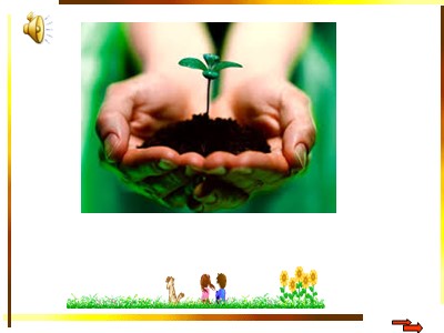 Bài giảng Công nghệ Khối 7 - Tiết 23, Bài 23: Làm đất gieo ươm cây rừng