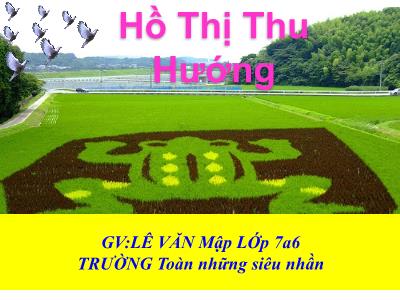 Bài giảng Sinh học Khối 7 - Bài 37: Đa dạng và đặc điểm chung của lớp lưỡng cư - Hồ Thị Thu Hương