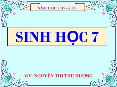Bài giảng Sinh học Lớp 7 - Bài 24: Đa dạng và vai trò của lớp giáp xác - Năm học 2019-2020 - Nguyễn Thị Thu Hương