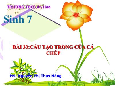 Bài giảng Sinh học Lớp 7 - Bài 33: Cấu tạo trong của cá chép - Nguyễn Thị Thúy Hằng