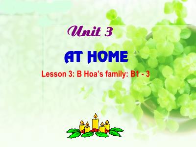 Bài giảng Tiếng Anh Khối 7 - Unit 3: At home - Lesson 3: B Hoas family