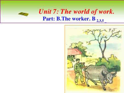 Bài giảng Tiếng Anh Khối 7 - Unit 7: The world of work (Chuẩn kiến thức)