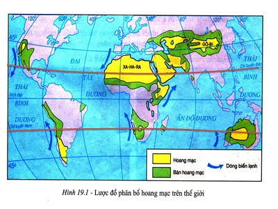 Bài giảng Địa Lý Lớp 7 - Bài 19: Môi trường hoang mạc (Bản đẹp)