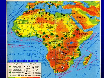 Bài giảng Địa Lý Lớp 7 - Bài 26: Thiên nhiên châu Phi - Sơn Nguyên Đông Phi