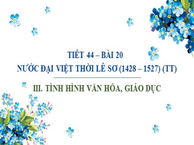Bài giảng môn Lịch sử Lớp 7 - Tiết 44, Bài 20: Nước Đại Việt thời Lê sơ (1428-1527)