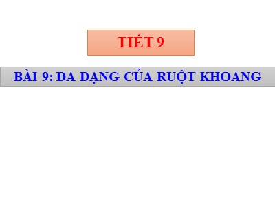 Bài giảng Sinh học Khối 7 - Bài 9: Đa dạng ngành ruột khoang