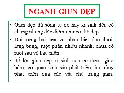 Bài giảng Sinh học Khối 7 - Tiết 11, Bài 11: Sán lá gan