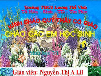 Bài giảng Sinh học Khối 7 - Tiết 2, Bài 9: Đa dạng ngành ruột khoang - Nguyễn Thị A Lil