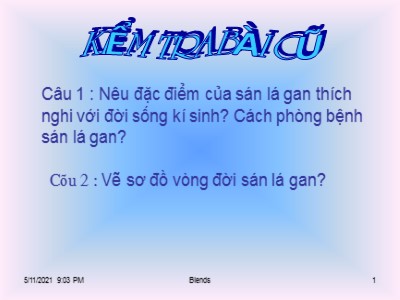 Bài giảng Sinh học Lớp 7 - Bài 12: Một số giun dẹp khác và đặc điểm chung của ngành giun dẹp (Chuẩn kiến thức)