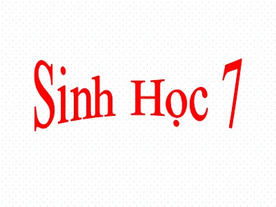 Bài giảng Sinh học Lớp 7 - Bài 12: Một số giun dẹp khác và đặc điểm chung của ngành giun dẹp (Bản đẹp)