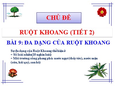 Bài giảng Sinh học Lớp 7 - Bài 9: Đa dạng ngành ruột khoang (Bản đẹp)