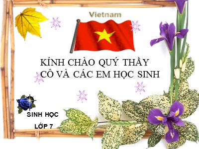 Bài giảng Sinh học Lớp 7 - Bài 9: Đa dạng ngành ruột khoang