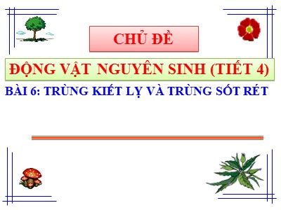 Bài giảng Sinh học Lớp 7 - Chủ đề: Động vật nguyên sinh - Bài 6: Trùng kiết lị và trùng sốt rét