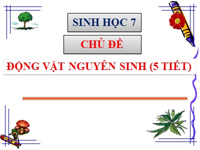 Bài giảng Sinh học Lớp 7 - Chủ đề: Động vật nguyên sinh - Tiết 1: Thực hành quan sát một số động vật nguyên sinh