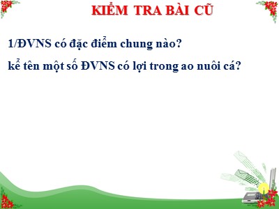 Bài giảng Sinh học Lớp 7 - Chương II: Ngành ruột khoang - Tiết 8, Bài 8: Thủy tức