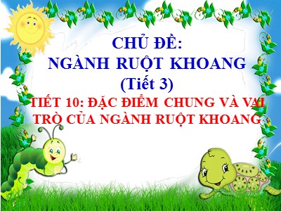 Bài giảng Sinh học Lớp 7 - Tiết 10, Bài 10: Đặc điểm chung và vai trò của ngành ruột khoang (Tiết 3)