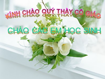 Bài giảng Sinh học Lớp 7 - Tiết 10, Bài 10: Đặc điểm chung và vai trò của ngành ruột khoang (Bản đẹp)