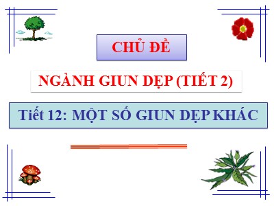 Bài giảng Sinh học Lớp 7 - Tiết 12: Một số giun dẹp khác