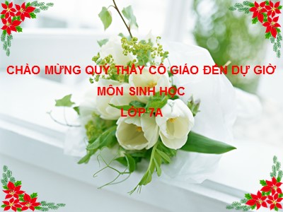 Bài giảng Sinh học Lớp 7 - Tiết 13, Bài 13: Giun đũa (Chuẩn kiến thức)