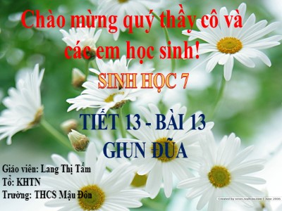 Bài giảng Sinh học Lớp 7 - Tiết 13, Bài 13: Giun đũa - Lương Thị Tẩm