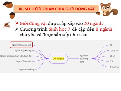 Bài giảng Sinh học Lớp 7 - Tiết 8, Bài 8: Thủy tức