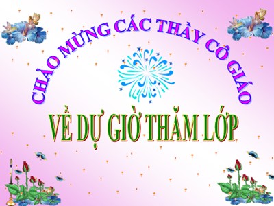 Bài giảng Tiếng Anh Lớp 7 - Period 36, Unit 5: Vietnamese Food and Drink - Section 3: A closer Look 2