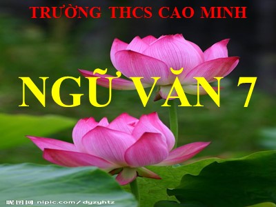 Bài giảng Ngữ Văn Khối 7 - Tiết 59+60: Một thứ quà của lúa non: Cốm - Thạch Lam