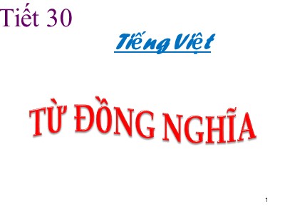 Bài giảng Ngữ Văn Khối 7 - Tiết 30: Từ đồng nghĩa