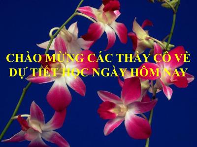 Bài giảng Ngữ Văn Lớp 7 - Bài 12: Cảnh khuya (Hồ Chí Minh)