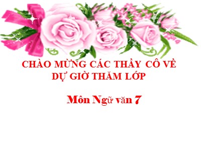 Bài giảng Ngữ Văn Lớp 7 - Bài 9: Tiếng Việt Từ đồng nghĩa (Bản đẹp)