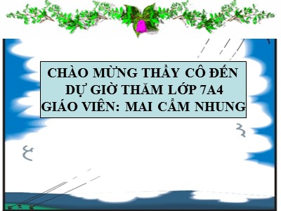 Bài giảng Ngữ Văn Lớp 7 - Tiết 22: Từ Hán Việt (Tiếp theo) - Mai Cẩm Nhung