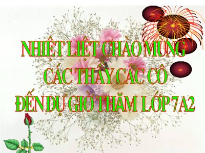 Bài giảng Ngữ Văn Lớp 7 - Tiết 24: Bánh trôi nước (Bản đẹp)