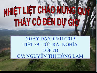 Bài giảng Ngữ Văn Lớp 7 - Tiết 39: Từ trái nghĩa - Nguyễn Thị Hồng Lam