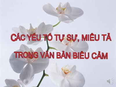 Bài giảng Ngữ Văn Lớp 7 - Tiết 41: Các yếu tố tự sự, miêu tả trong văn bản biểu cảm -