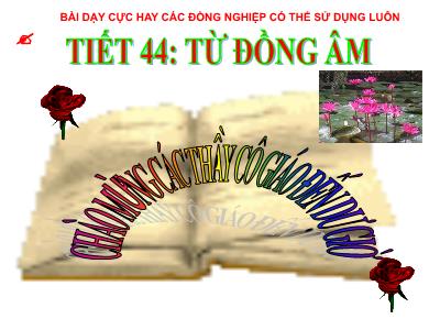 Bài giảng Ngữ Văn Lớp 7 - Tiết 44: Từ đồng âm - Trương Thị Phương Hoa