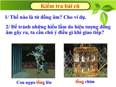 Bài giảng Ngữ Văn Lớp 7 - Tiết 47: Thành ngữ (Chuẩn kiến thức)