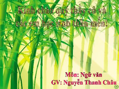 Bài giảng Ngữ Văn Lớp 7 - Tiết 48: Thành ngữ - Nguyễn Thanh Châu