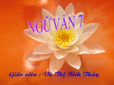 Bài giảng Ngữ Văn Lớp 7 - Tiết 48: Thành ngữ - Vũ Thị Bích Thuỷ