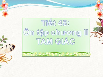 Bài giảng Toán Lớp 7 - Tiết 45: Ôn tập chương II - Tam giác