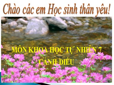 Bài giảng Sinh học Lớp 7 Sách Cánh diều - Bài 25: Trao đổi nước và các chất dinh dưỡng ở thực vật