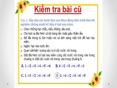 Bài giảng Sinh học Lớp 7 Sách Kết nối tri thức - Bài 28: Trao đổi khí ở sinh vật