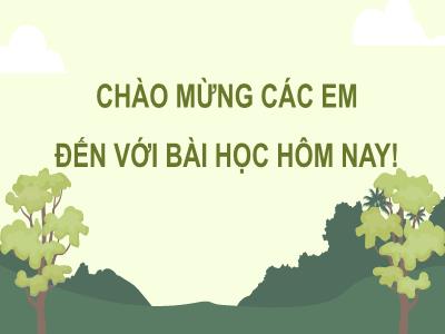 Bài giảng Công nghệ 7 - Bài 4: Giới thiệu chung về rừng - Trường Tiểu học Xương Giang (Cánh diều)