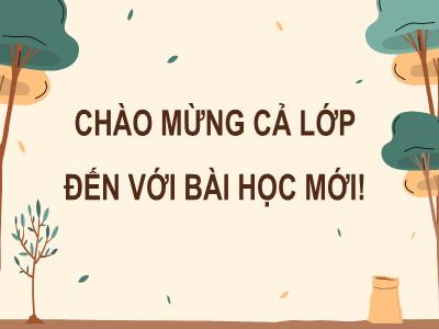 Bài giảng Công nghệ 7 - Bài 5: Trồng cây rừng - Trường Tiểu học Xương Giang (Cánh diều)