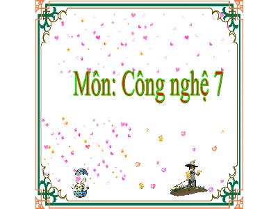 Bài giảng Công nghệ 7 (Kết nối tri thức với cuộc sống) - Tiết 19, Bài 11: Phòng và trị bệnh cho vật nuôi - Nguyễn Thị Lan Hương