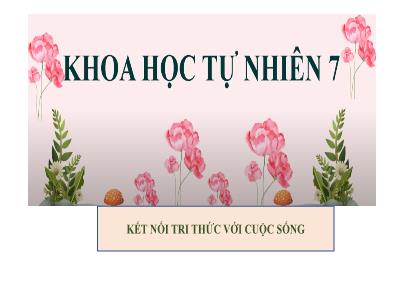 Bài giảng Khoa học tự nhiên 7 (Hóa học) Sách Kết nối tri thức - Tiết 104+105+106, Bài 3: Nguyên tố hóa học