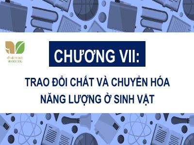 Bài giảng Khoa học tự nhiên 7 (Sinh học) Sách Kết nối tri thức - Chương VII: Trao đổi chất và chuyển hóa năng lượng ở sinh vật - Bài 21: Khái quát về trao đổi chất và chuyển hóa năng lượng