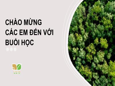 Bài giảng Khoa học tự nhiên 7 (Sinh học) Sách Kết nối tri thức - Bài 30: Trao đổi nước và chất dinh dưỡng ở thực vật - Nguyễn Thị Hồng Oanh