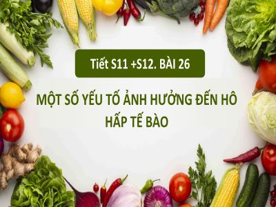 Bài giảng Khoa học tự nhiên 7 (Sinh học) Sách Kết nối tri thức - Bài 26: Một số yếu tố ảnh hưởng đến hô hấp tế bào - Nguyễn Thị Hồng Oanh