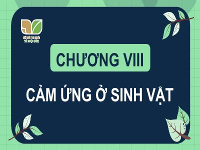 Bài giảng Khoa học tự nhiên 7 (Sinh học) Sách Kết nối tri thức - Chương VIII: Cảm ứng ở sinh vật - Bài 33: Cảm ứng ở sinh vật và tập tính ở động vật