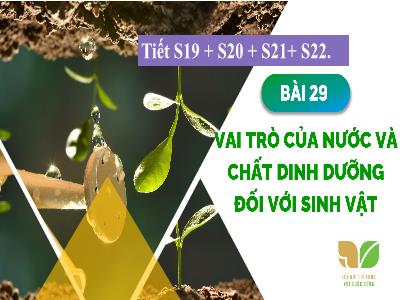 Bài giảng Khoa học tự nhiên 7 (Sinh học) Sách Kết nối tri thức - Bài 29: Vai trò của nước và chất dinh dưỡng đối với sinh vật - Nguyễn Thị Hồng Oanh